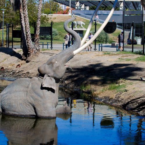 In the Sunken Place: La Brea Tar Pits and Museum