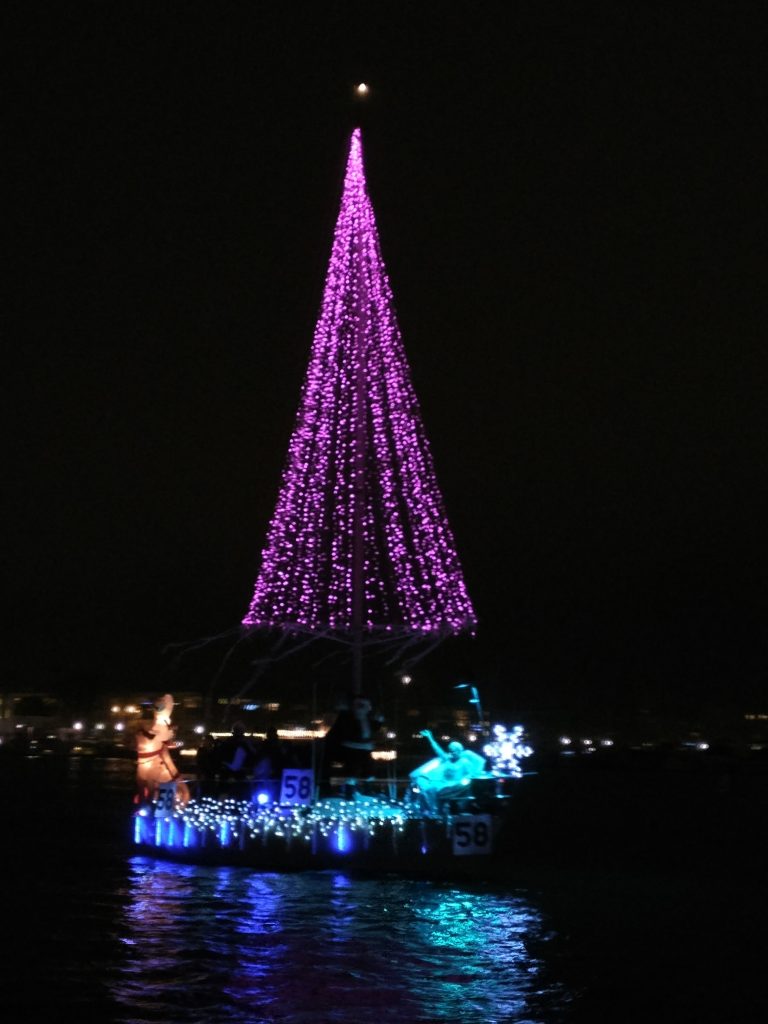 marina del rey christmas tree lights pink