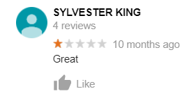 sylvester king dumb review venice canals google