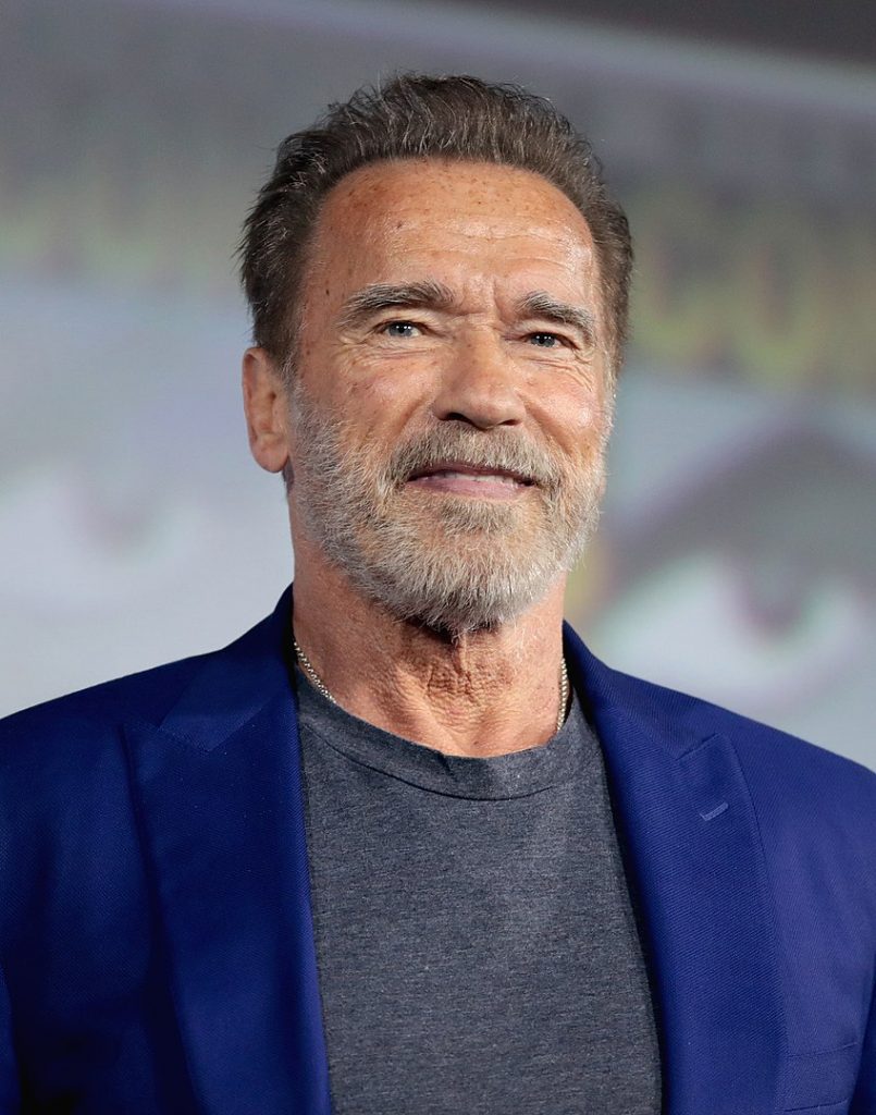 arnold schwarzenegger beard suit older