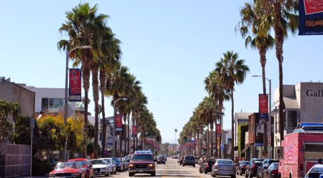 We’re Spending Most Our Lives Living in A Hipster Paradise: Abbot Kinney Boulevard near Santa Monica