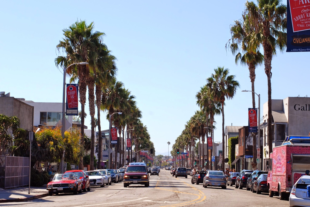 abbot kinnery blvd street cars palm trees