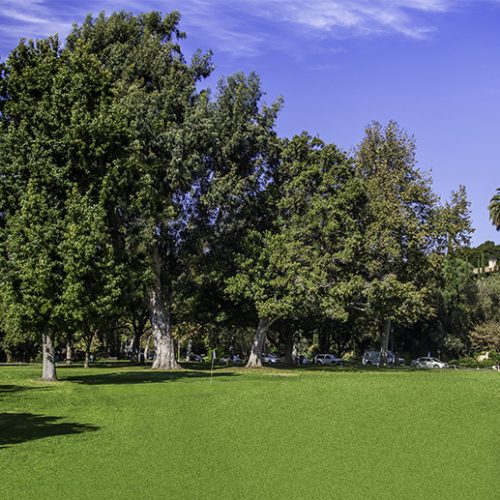 Holmby Park and Armand Hammer Golf Course (Pony / Par 3)