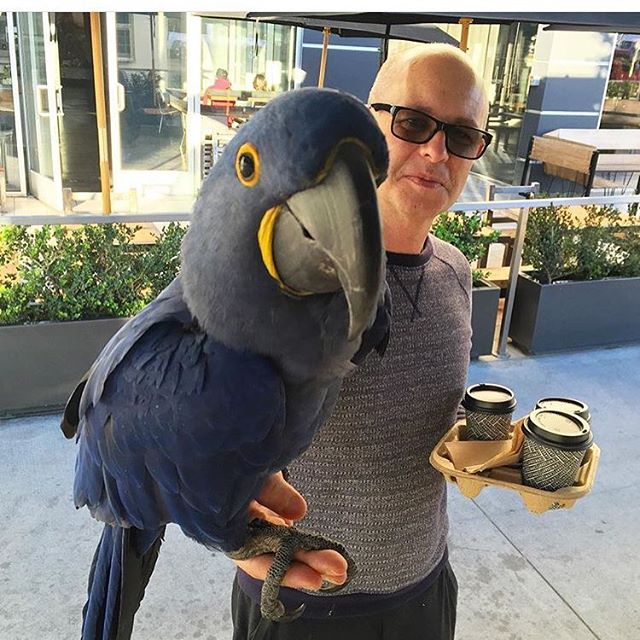 Come for the Atmosphere, Stay for the Coffee Commissary in Palms