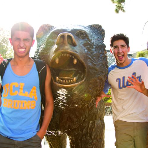 6 Underrated Reasons and Advantages You’ll Realize after Choosing UCLA