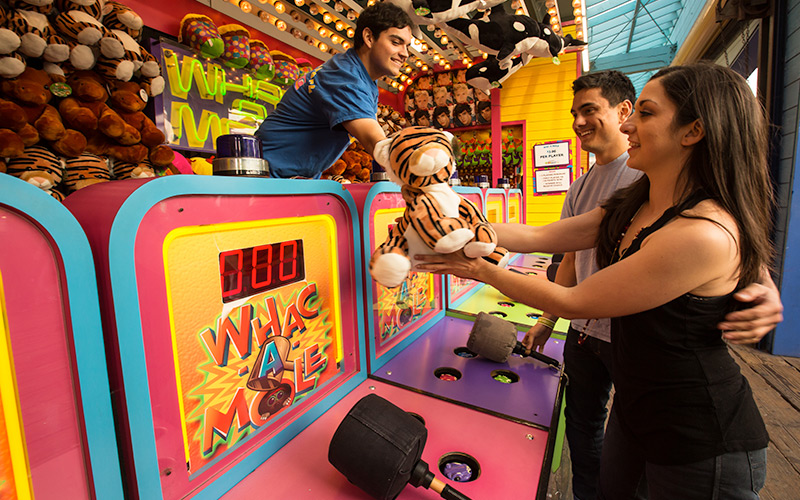 whac-a-mole whack a mole game santa monica pacific park