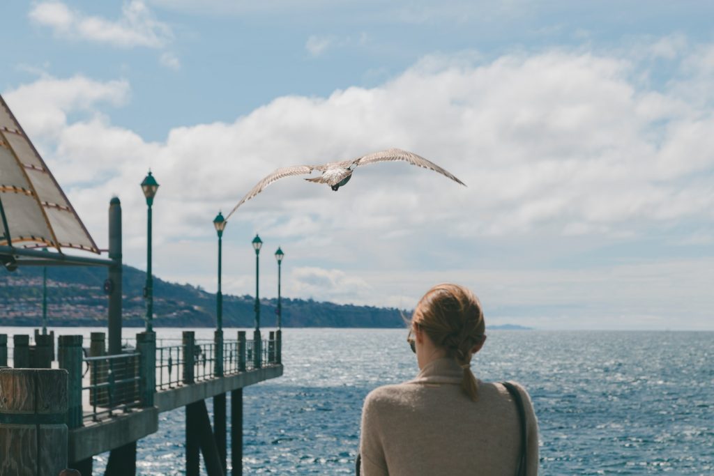 redondo beach pier water woman seagull