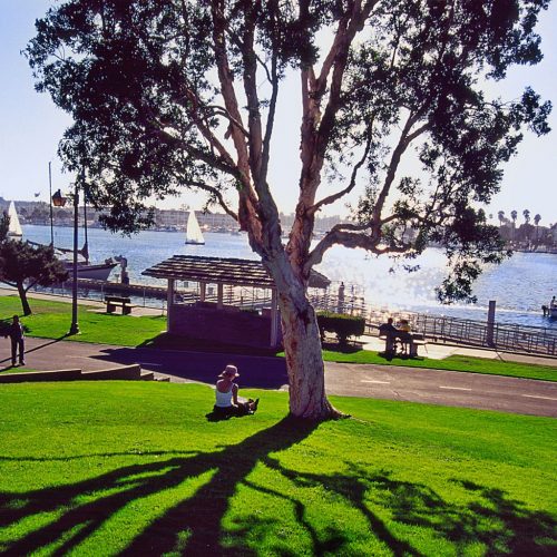 Burton Chase Park in Marina Del Rey is a Waterfront Joy