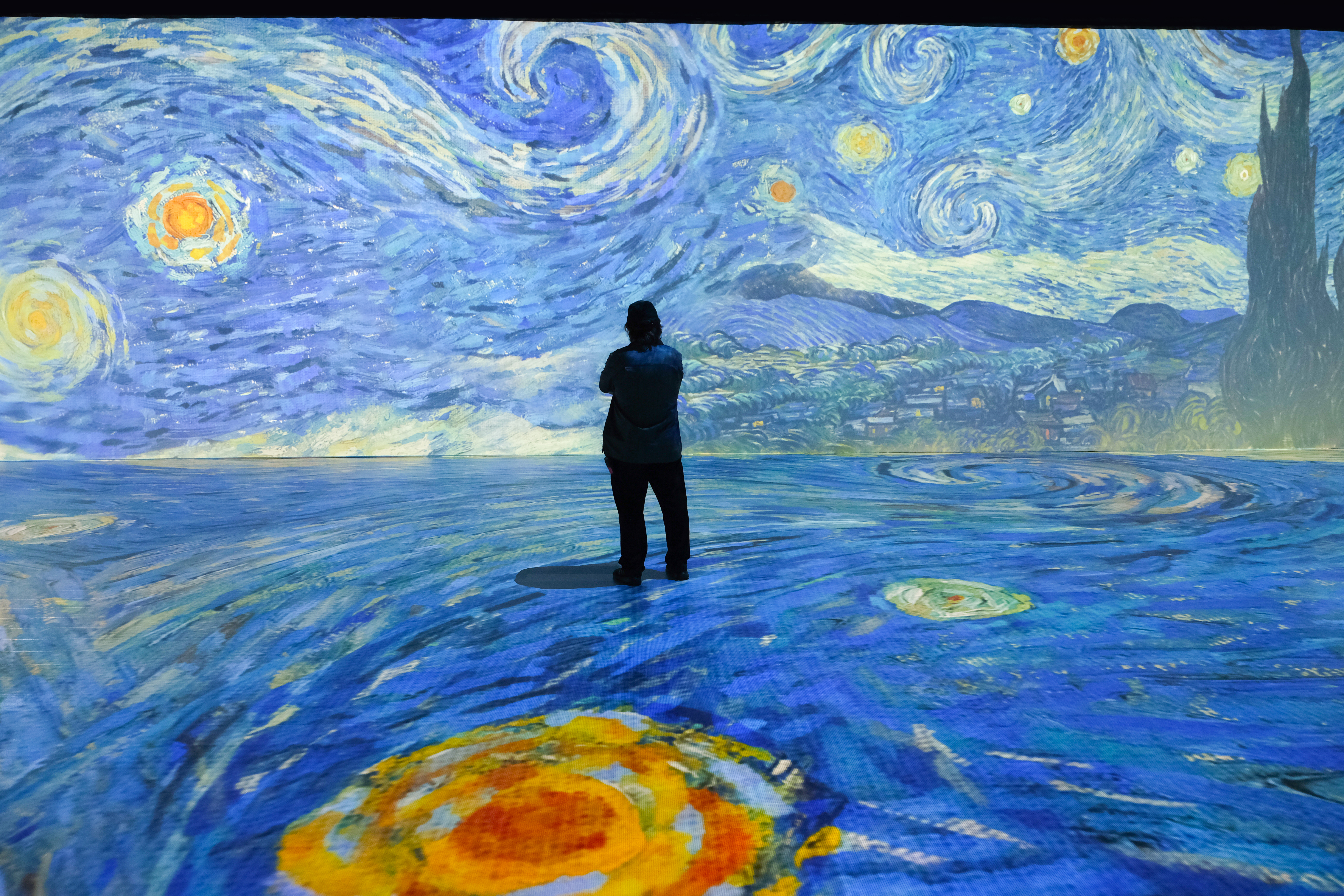 beyond van gogh starry night