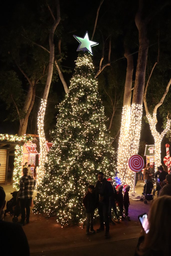 la zoo los angeles holiday lights show christmas tree