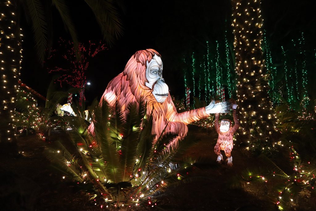 la zoo los angeles holiday lights show christmas monkeys