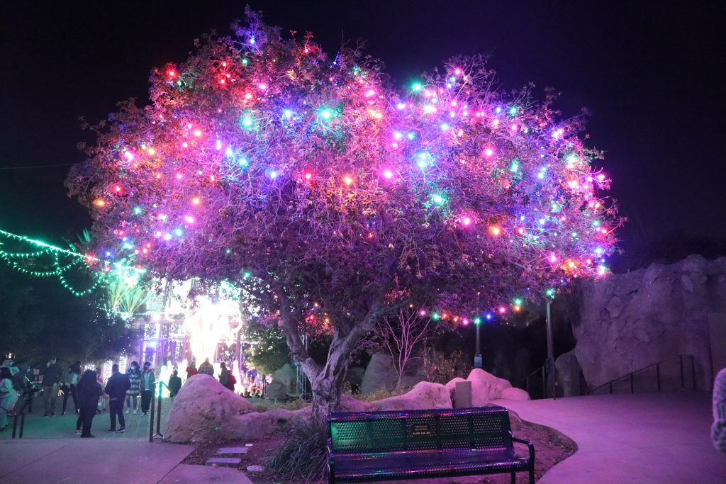 la zoo los angeles holiday lights show christmas trees