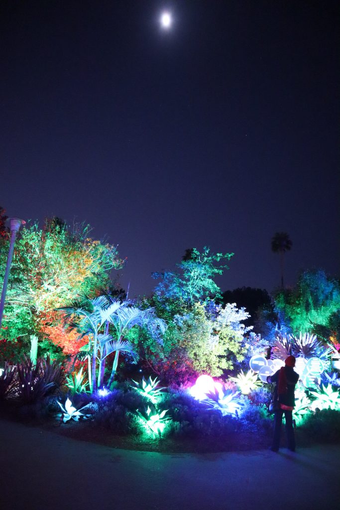 south coast botanic garden lights forest los angeles