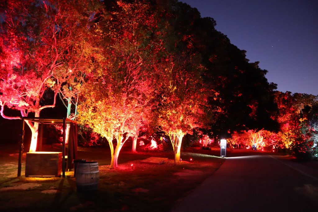 south coast botanic garden lights forest los angeles