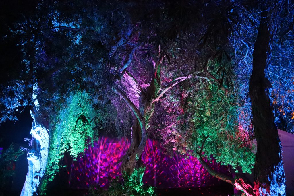 south coast botanic garden lights forest los angeles