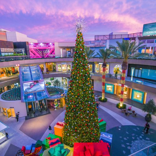 Santa Photos, Christmas Tree, and Decorations at Santa Monica Place