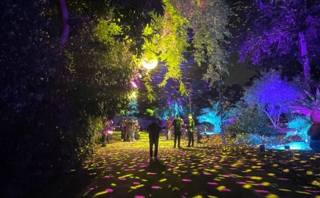 Lightscape Epic Holiday Display at the LA Arboretum in Arcadia