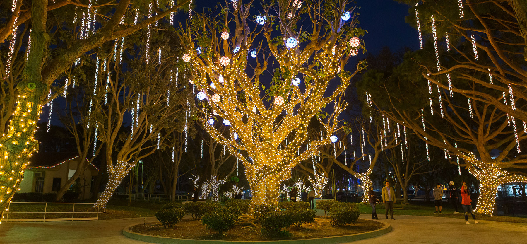 Free Christmas Lights at Burton Chace Park in Marina Del Rey