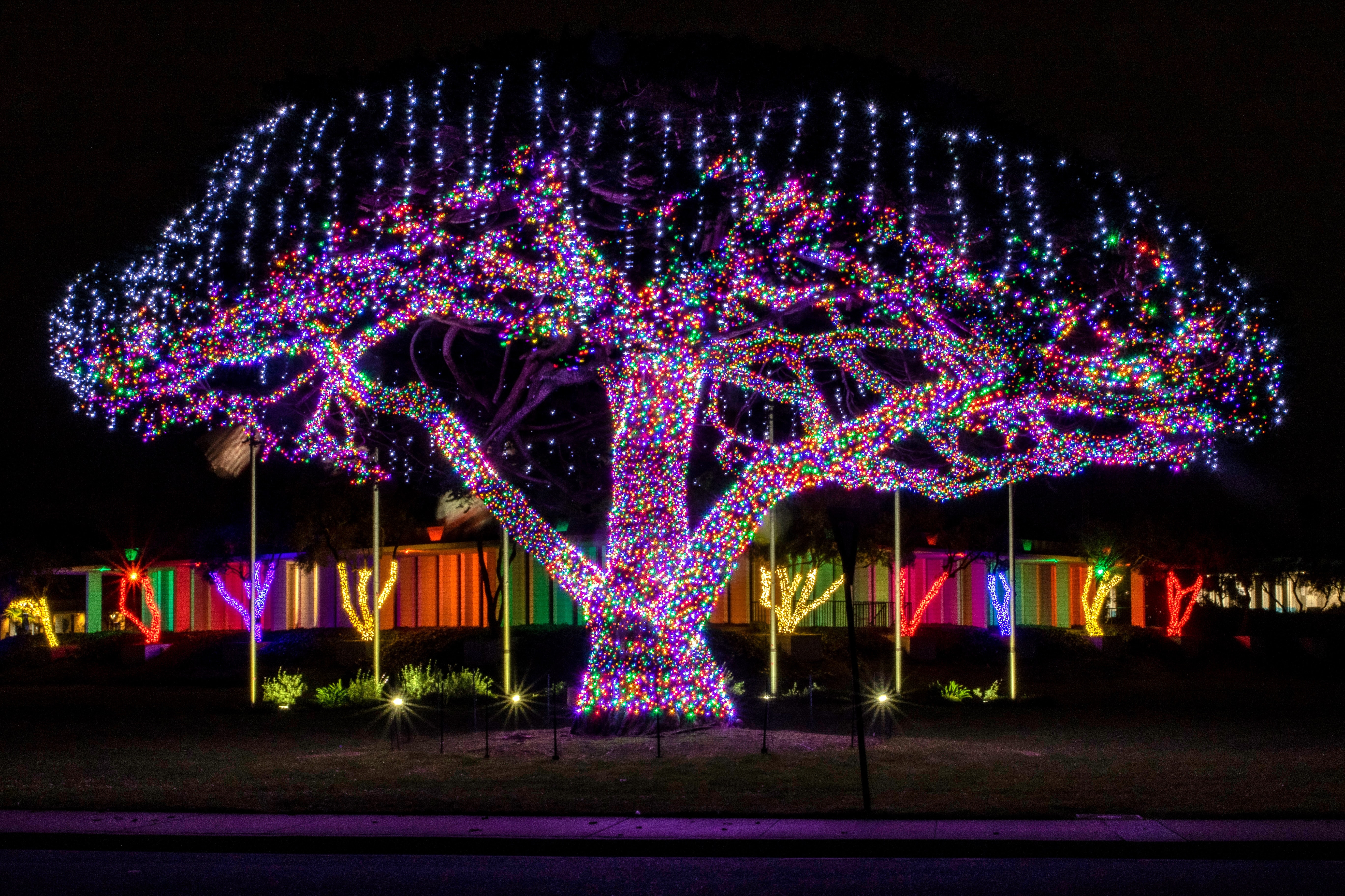 2022 List of Christmas and Holiday Lights in Los Angeles Area